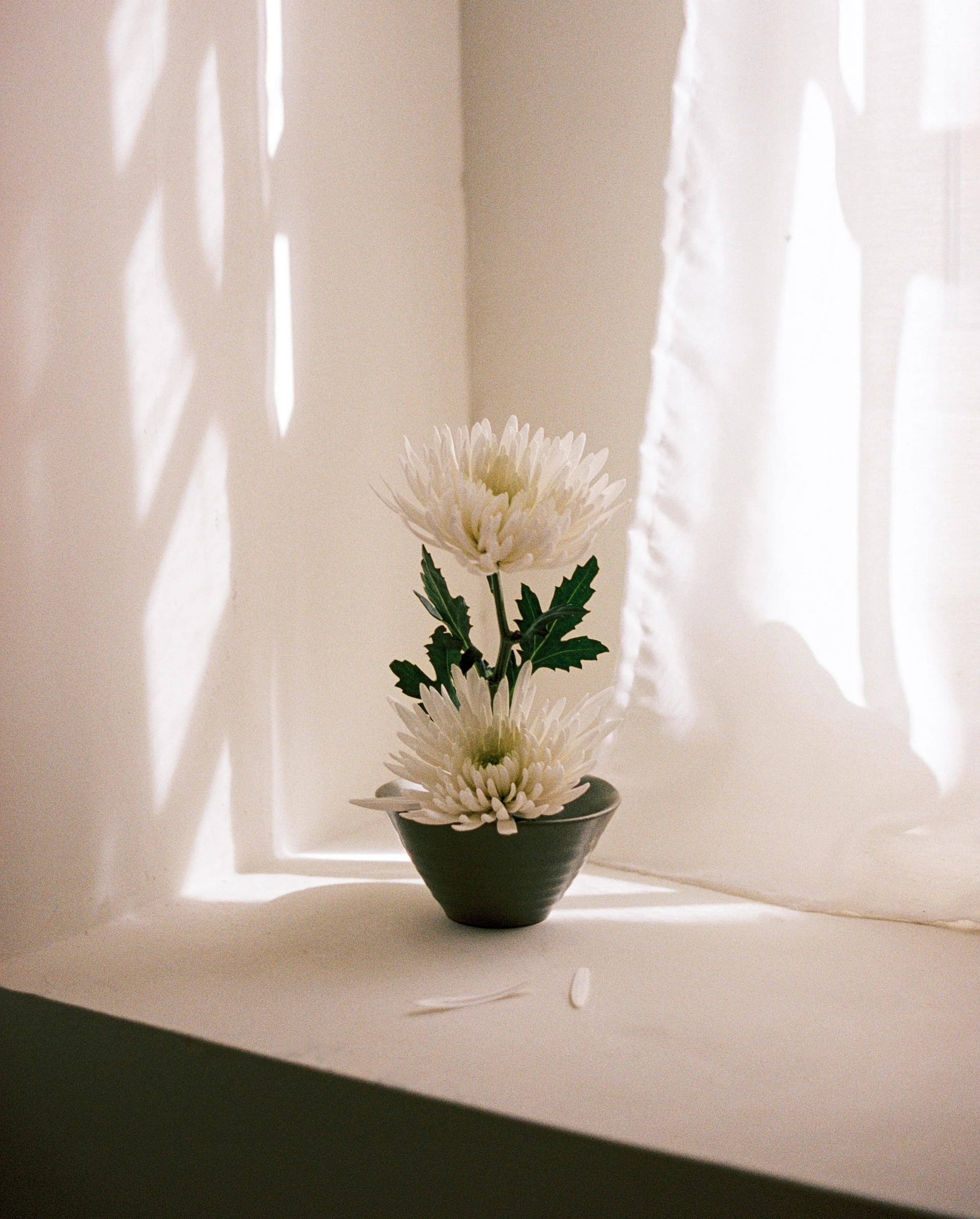 Strange Goodbye, a film for the Spanish Architecture Biennale - 3 of 4